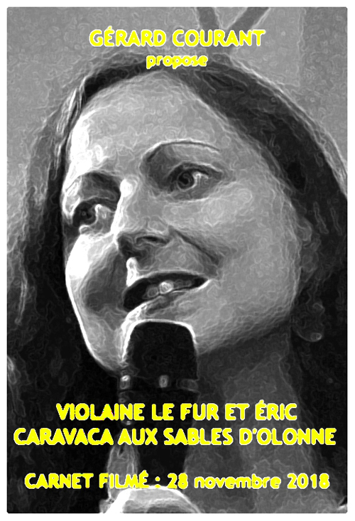 image du film VIOLAINE LE FUR ET RIC CARAVACA AUX SABLES DOLONNE (CARNET FILM : 28 novembre 2018).