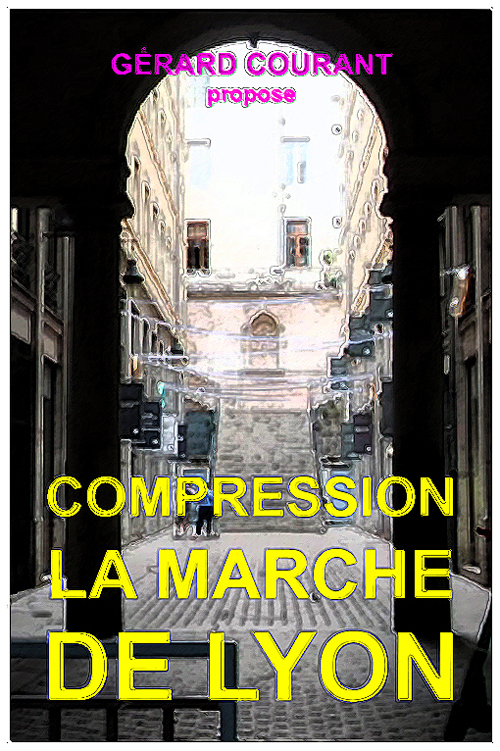 image du film COMPRESSION LA MARCHE DE LYON.