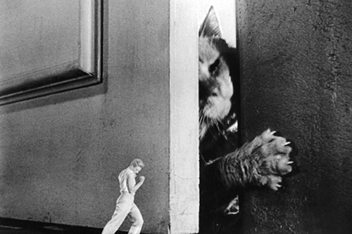 image du film COMPRESSION THE INCREDIBLE SHRINKING MAN DE JACK ARNOLD.