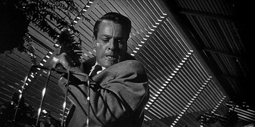 image du film COMPRESSION INVASION OF THE BODY SNATCHERS DE DON SIEGEL.