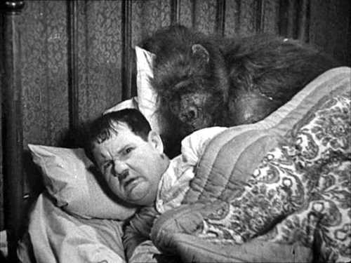 image du film COMPRESSION THE CHIMP DE LAUREL ET HARDY.