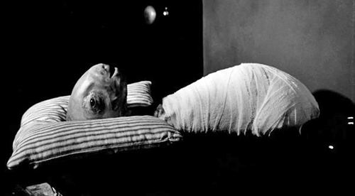 image du film COMPRESSION ERASERHEAD DE DAVID LYNCH.