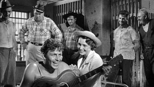 image du film COMPRESSION THE FACE IN THE CROWD DE ELIA KAZAN.