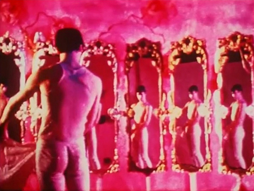 image du film COMPRESSION PINK NARCISSUS DE JAMES BIDGOOD.