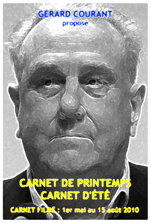 image du film CARNET DE PRINTEMPS CARNET DT (CARNET FILM : 1er mai 2010  15 aot 2010) .