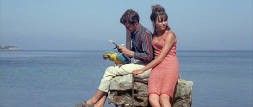 image du film COMPRESSION PIERROT LE FOU DE JEAN-LUC GODARD.