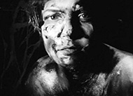 image du film.