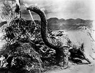 image du film.