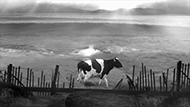 image du film.