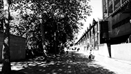 image du film.
